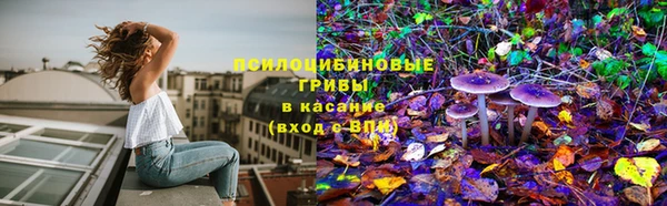 экстази Арсеньев