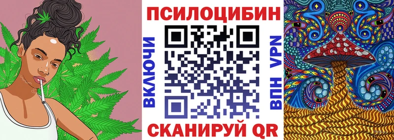 Псилоцибиновые грибы Psilocybe  Малмыж 